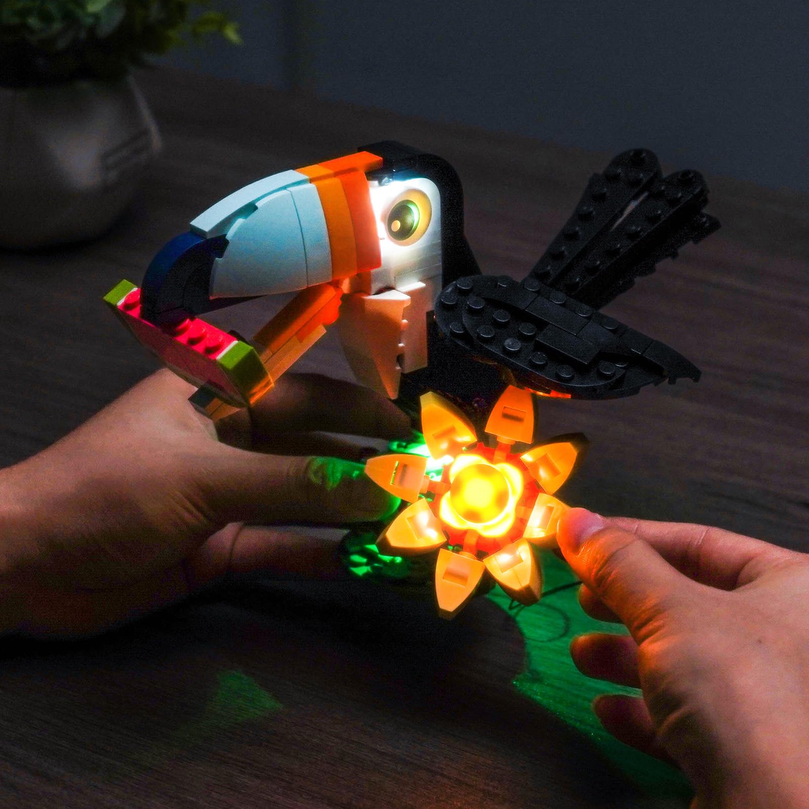 Led Licht Set Kompatibel mit Lego Wild Animals: Tropical Toucan 31173 (Kein Modell), Dekorationsbeleuchtungsset Compatible with Lego 31173 Wild Animals: Tropical Toucan Kreative Spielzeug 3