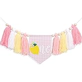 Lemon First Birthday High Chair Banner - Pink Gingham One highchair Banner with Yarn Tassels for Baby Girl 1st Birthday Decorations, Lemon Sweet One Theme Party Decor