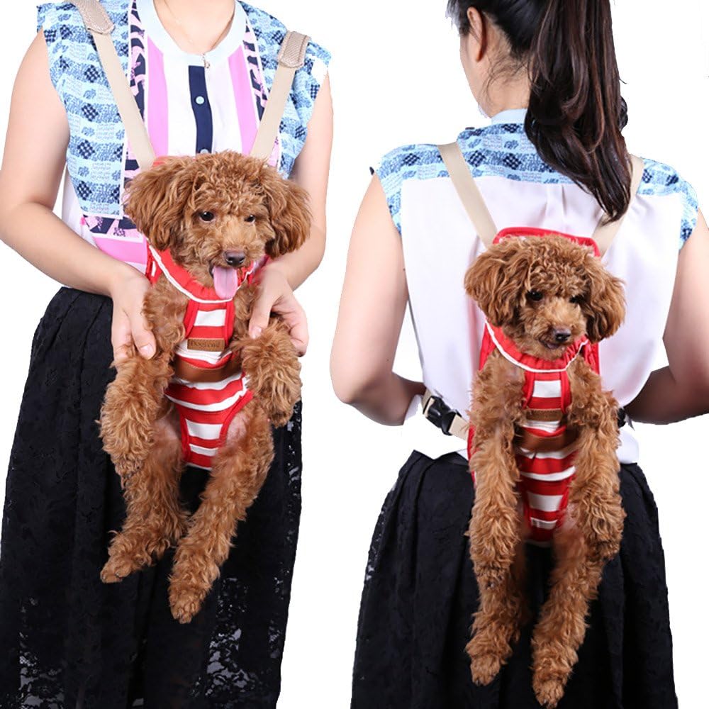 hills urinary care cd