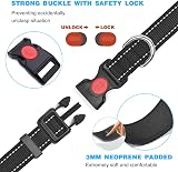 haapaw Reflective Dog Collar with Soft Neoprene Padded Nylon Adjustable view 3