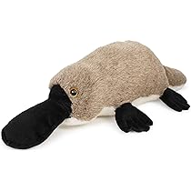 Amazon.com: TigerHart Prudence The Platypus - 21 Inch