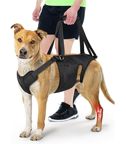 Sonew Brassard Dorsal Pour Chien Attelle Dorsale Pour Chien Arthritique Facile à Transporter