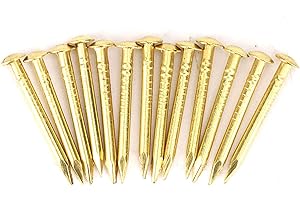 Kodrily Gold Small Nails, 100PCS Hardware Nails Assortment Kit, Round Head Brass Nail, Tiny Finishing Nails Accessories for Household Wood Picture Hanging String Art (18mm Long)
