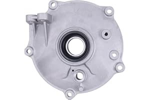 WQSING Rear Brake Plate Panel Compatible with Honda Recon 250 TRX250EX TRX250X TRX250 TRX250TM/250TE 1997-2023 Sportrax 43010-HM8-000 Drum Cover