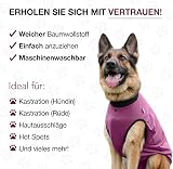 BellyGuard Dog Recovery Suit after Surgery - Cozy Bodysuit for Female and Male view 4