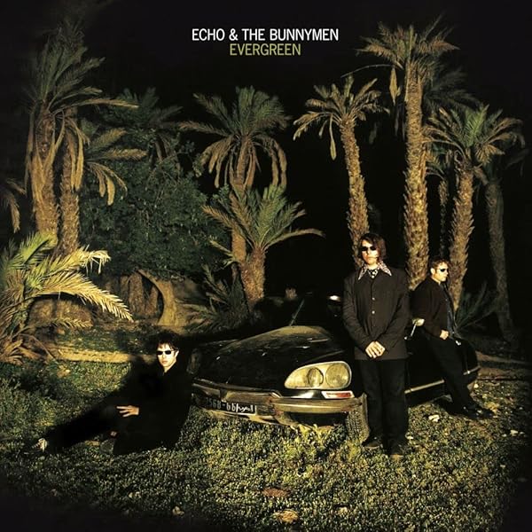 Echo & The Bunnymen - Meteorites - Amazon.com Music