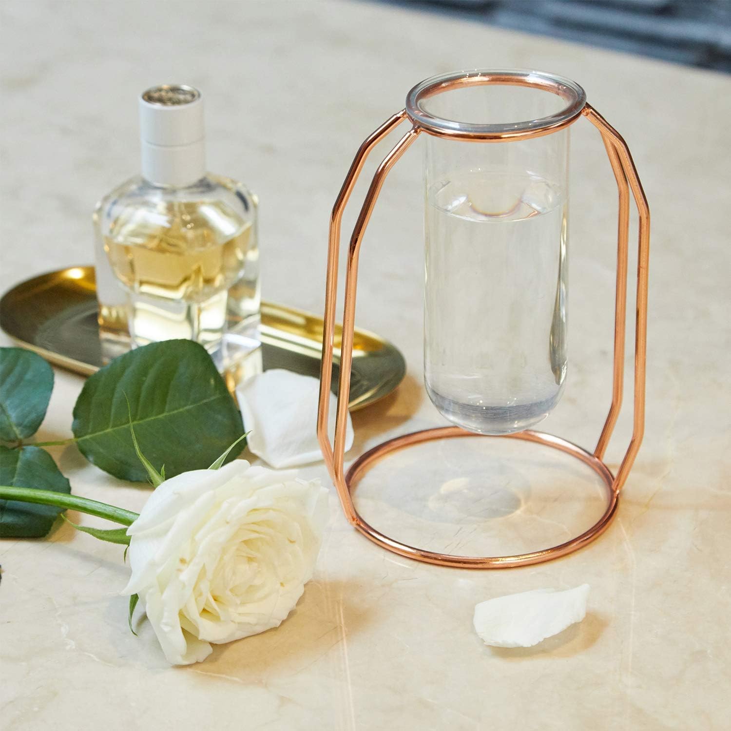 PuTwo Vases Set of 2 Metal Flower Vase Glass Vase Planter Terrariums Gold Vases Rose Gold Vase Plant Vase Glass Vases Cylinder Vase Vases for Decor Clear Vase Decorations for Living Room - Rose Gold : Garden & Outdoor