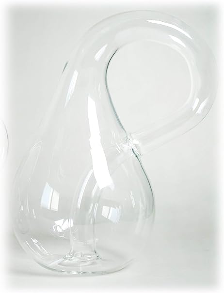 Amazon Co Jp クラインの壺 サイズll ガラス製 高さ約25 Cm Klein Bottle Size Ll Kleinsche Flache おもちゃ