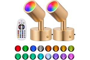Delbarton 2 Pack LED Spot Lights Indoor Spot Lights Accent Lighting, RGBW Color Changing Up Lights Indoor Remote Control Plant Spotlight