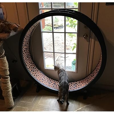 one fast cat discount