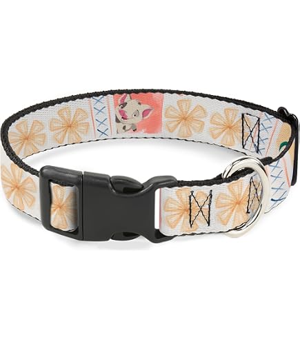 Amazon.com : Disney Plastic Clip Dog Collar | Moana Hei Hei the