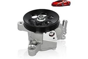 NTLTPYY Power Steering Pump with Pulley for Honda Accord Odyssey 1994-1997 l4 2.2L, Acura CL 1997-1999 l4 2.3L,1996-1997 Isuzu Oasis l4 2.2L,OE Replace # 21-5907, 56110P0A013