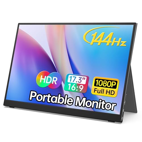 Skinny Computer Monitor MNN 17.3