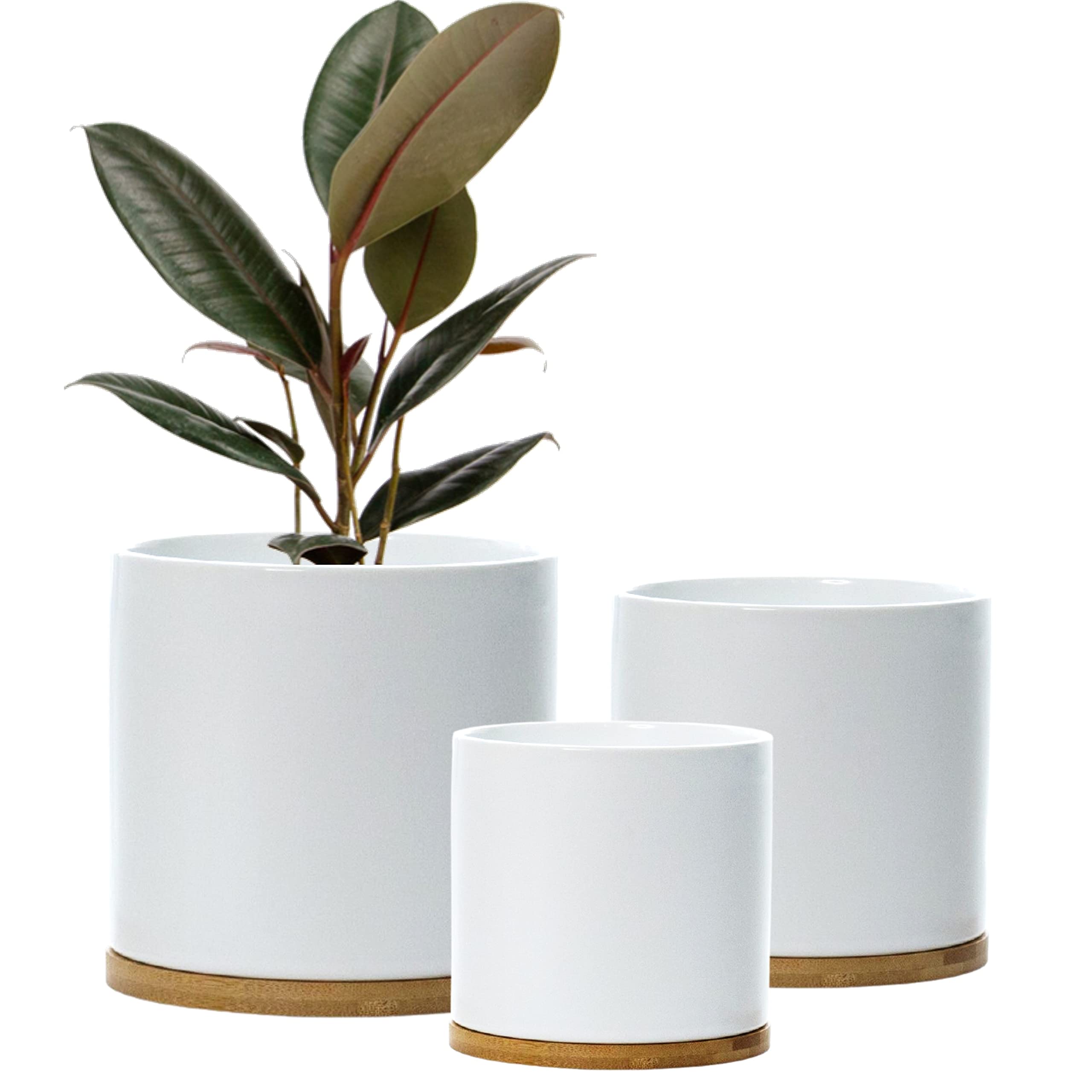 Set 3 Ceramic Plant Pots with Bamboo Coasters Indoor Planters White Pot Set Ceramic Flower Pots Containers Outdoor Large, Medium, Small with saucers (White)