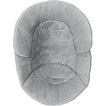 Baby Head and Body Support for a BabyBond Baby Swing