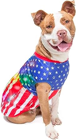 4th of july dog shirt