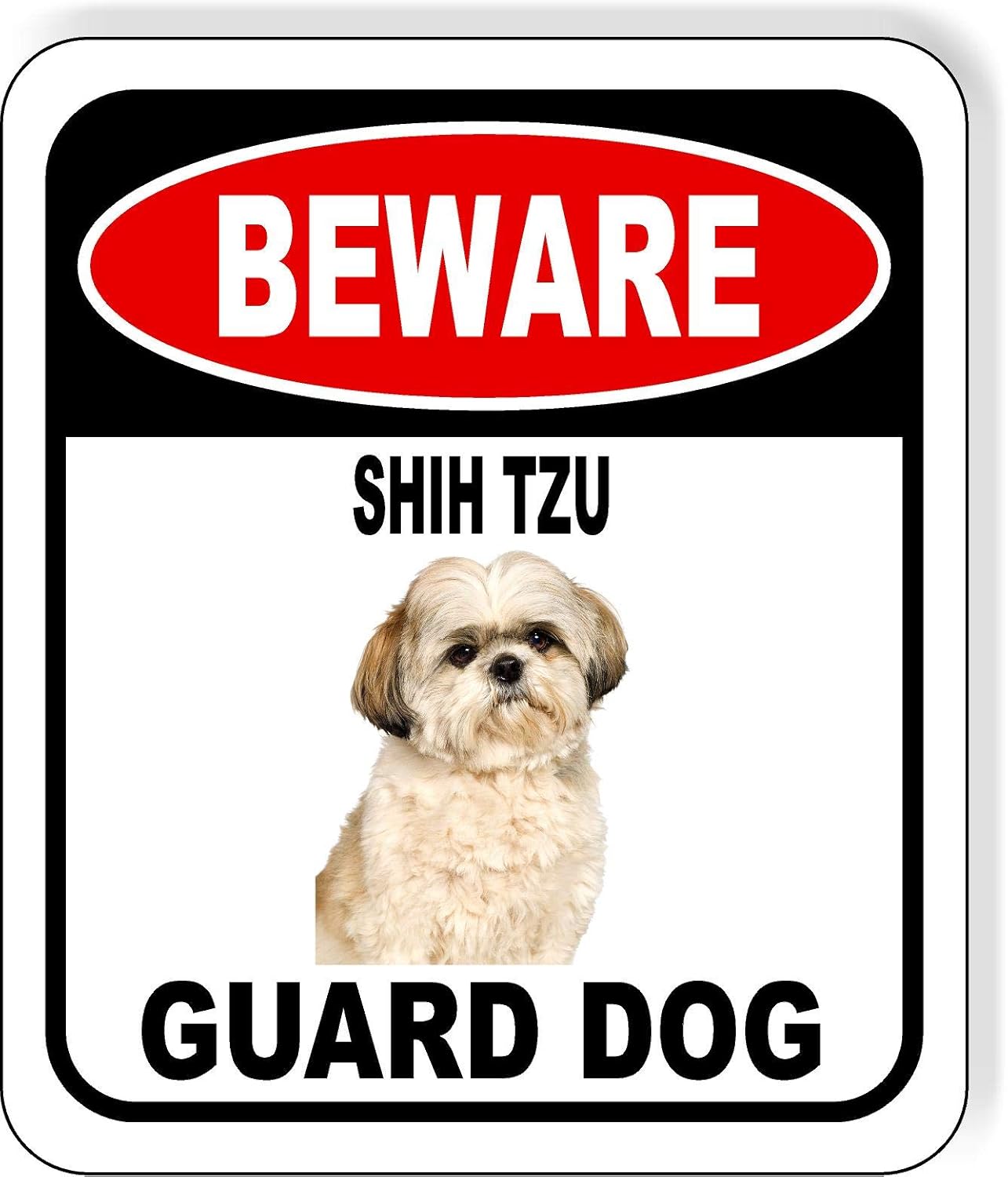 shih tzu guard dog
