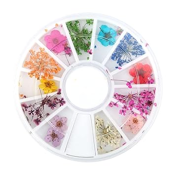 Nail Dried Flowers,12 Types Colorful Natural Real Dry Flowers Set Nail Decoration Manicure Arts with Wheel box for Decorating Phone,Hair, Glasses,Nail,etc