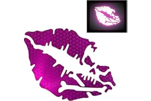 customTAYLOR33 High Intensity Reflective Vinyl Death Kiss Skull Crossbones Lips Decal Bumper Sticker - Cars, Motorcycles, Helmets, Wind Screens, laptops, cellphones, (SE Purple, 3 inch Wide, Pair)