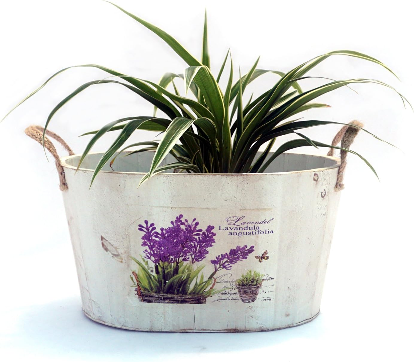 Unearth - Shabby Chic Printed Wooden Oval Planter - Large