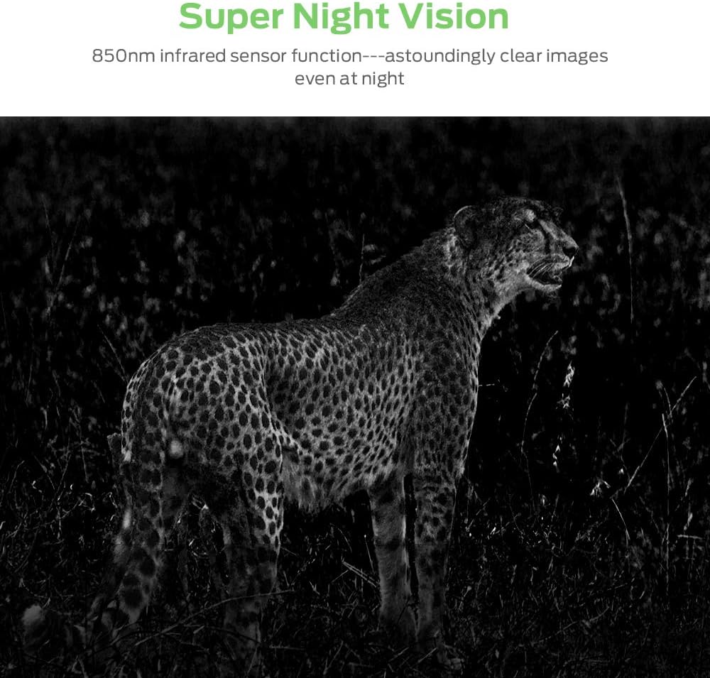 Dr.meter Wildlife Hunting Camera 24MP 1080P HD Trail Game Camera IP66 Waterproof 120° Wide Angle Lens Scouting Monitoring Cam with 45-LED Night Vision, 2.4" LCD, IR Sensor: Electronics