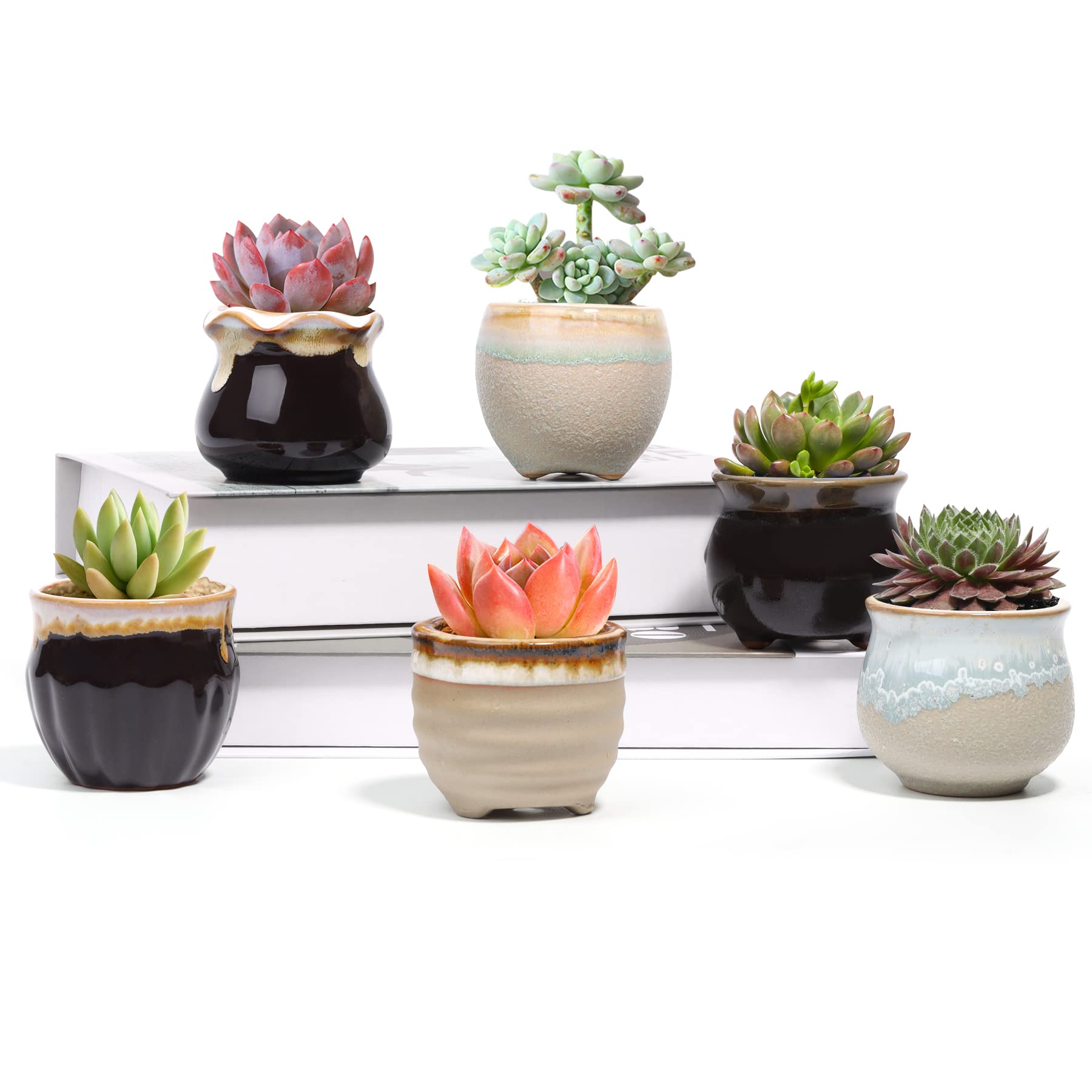 T4U Small Ceramic Succulent Pots with Drainage Set of 6, Mini Pots for Plants, Tiny Porcelain Planter, Air Plant Flower Pots Cactus Faux Plants Containers, Home and Office Decor