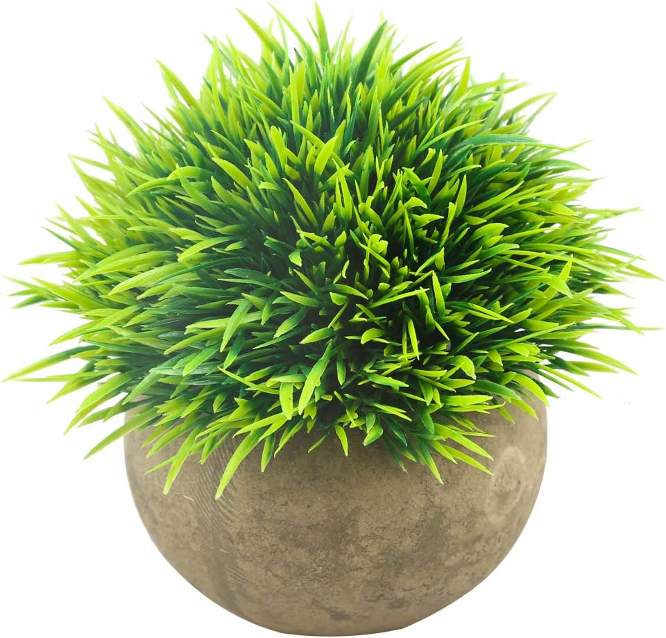 Download Amazon Com Svenee Mini Artificial Plants Plastic Fake Green For Android Get Wallpaper Amazon Com Svenee Mini Artificial Plants Plastic Fake Green Desktop Wallpaper