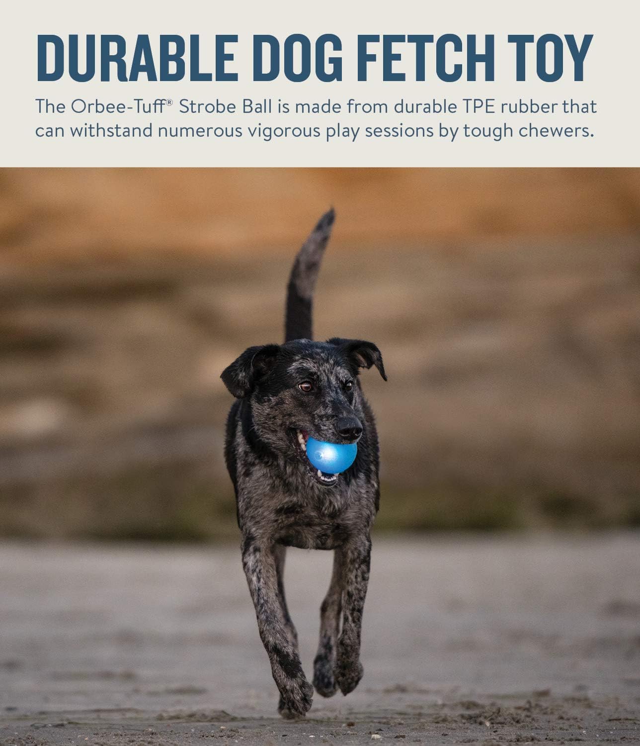 Planet Dog Orbee-Tuff Strobe Ball Blue Light Up LED Dog Toy, Medium - Image 4