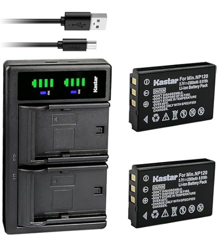 Amazon.com: Zoom BCQ-2N Battery Case, Designed to Extend Battery