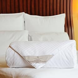 CUDDLE DREAMS Silk Comforter for