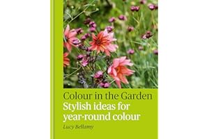 Colour in the Garden: Stylish ideas for year-round colour