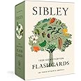 Sibley Tree Identification Flashcards: 100 Trees of North America