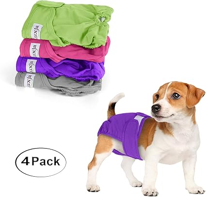 male dog wrap with suspenders