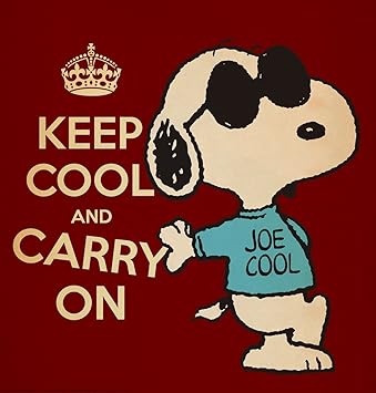 Image result for snoopy keep cool