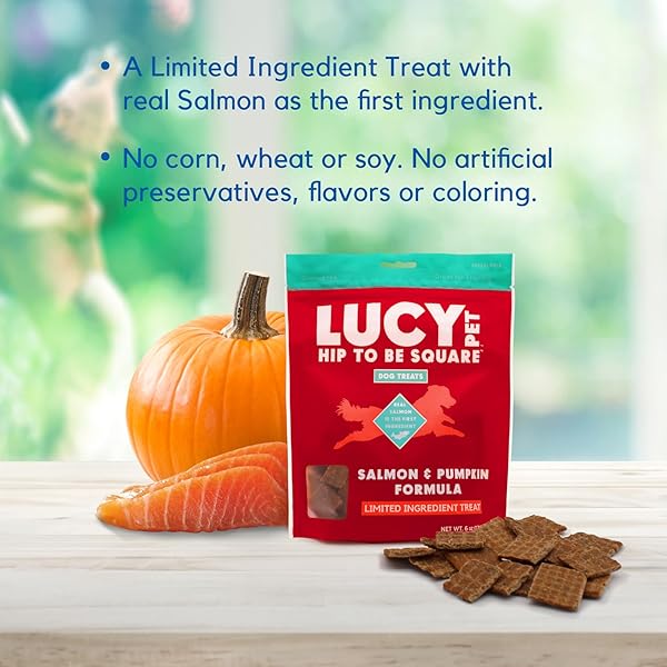 LUCY PET HIP TO BE SQUARE SALMON AND PUMPKIN DOG TREATS 6OZ