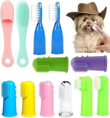 amazon dog toothbrush