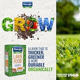 Phostrogen Organic Lawn Food 3.5kg - Balanced Feed for Thicker Lawn view 4