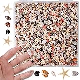 PPCLION 50pcs Tiny Strarfish&2000Pcs Tiny Mini Small Clam Sea Shells for Crafting Spiral for Crafts Charms Home Decorations Candle Decor DIY Fish Tank and Beach Vase Filler