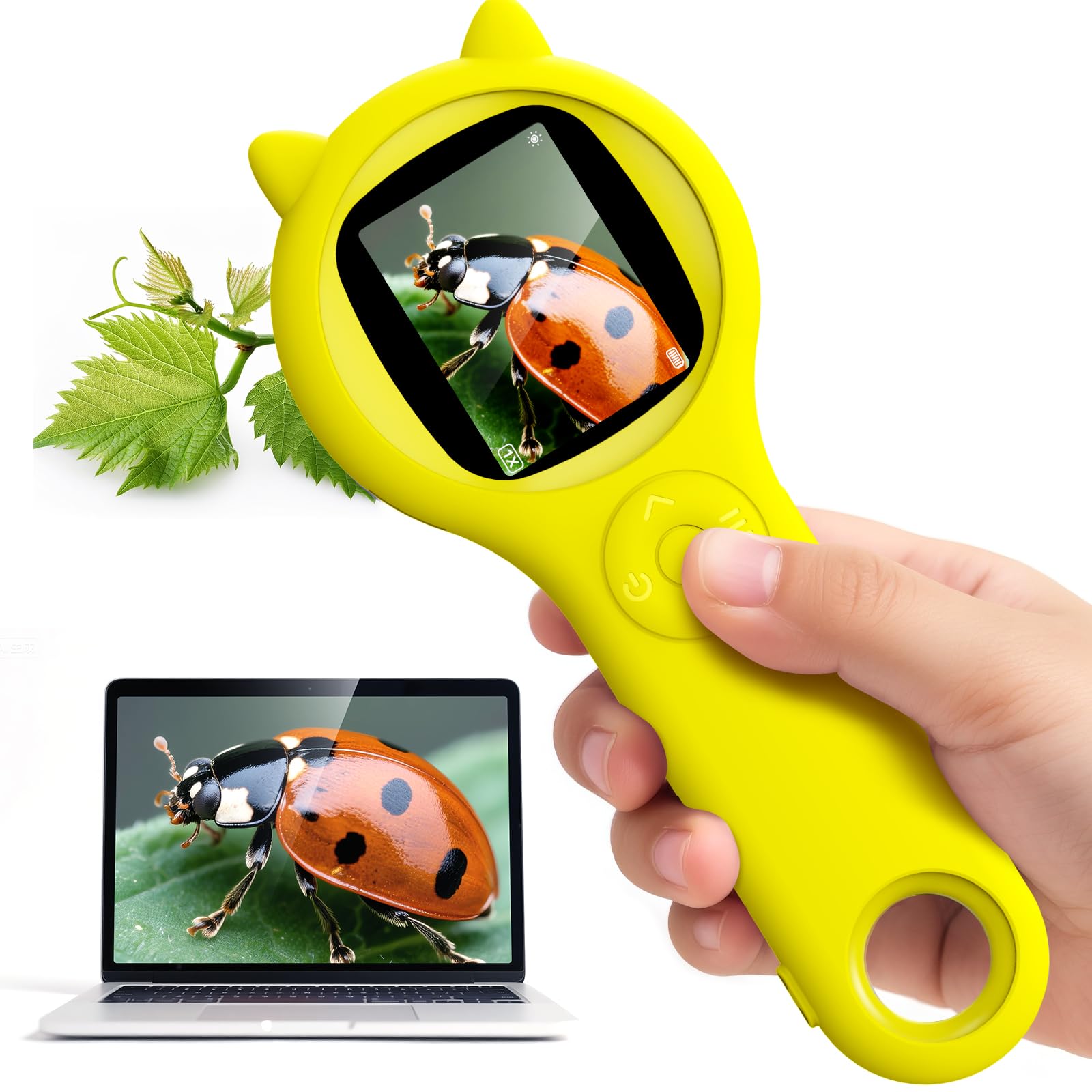 Ashfly Kids Magnifying Glass Educational Science