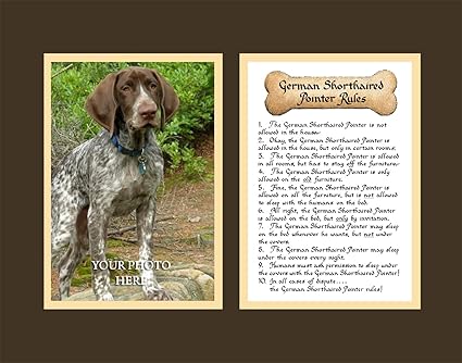 Amazon Com Dog Rules German Shorthaired Pointer Wall Decor Pet