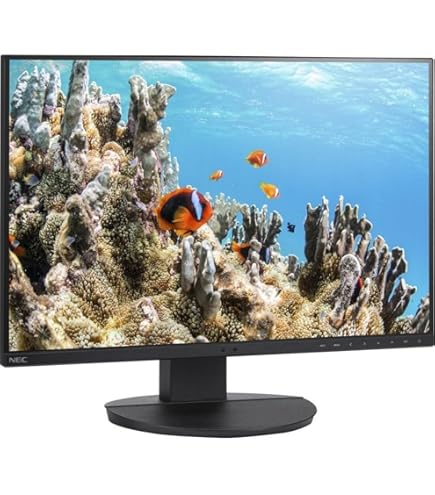 ホアン NEC 24インチx2 ホアン NEC 24インチx2
