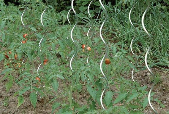 Circum Pro Tomatenspiralstab 180 cm verzinkt CircumPRO