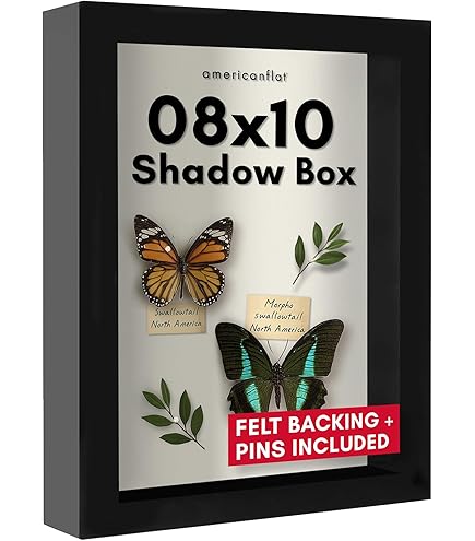 Cadre De Fleurs Séchées, Boîte D'ombre, Cadre Photo, Décoration De