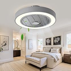 Jinweite Ceiling Fan with Light, 19 inches LED