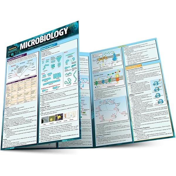Biology: a QuickStudy Laminated Reference Guide (Quick Study