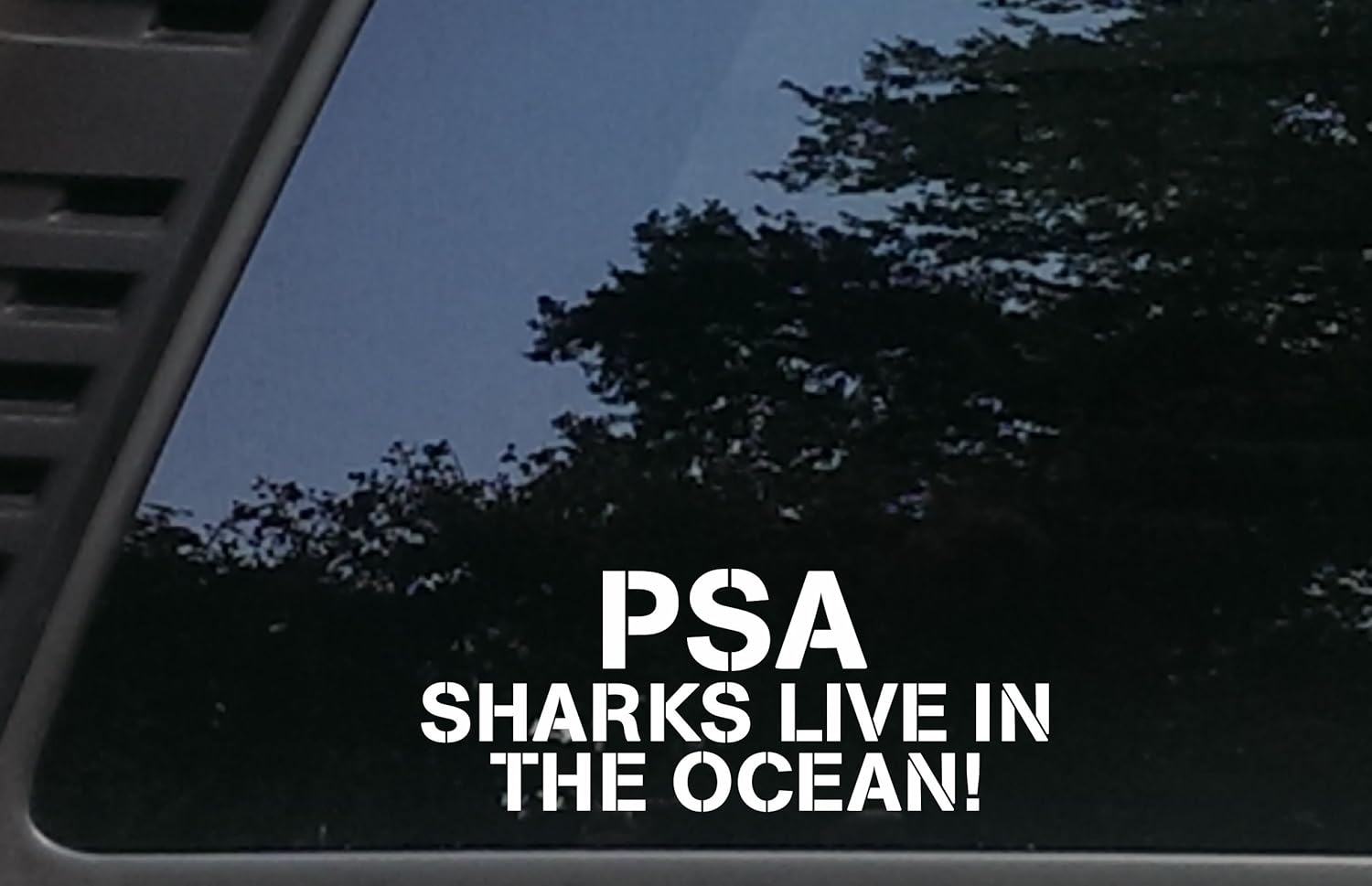High Viz Inc PSA Sharks Live in The Ocean! - 7 3/4" x 3" die Cut Vinyl Decal for Cars, Trucks, Windows, Boats, Tool Boxes, etc NOT Printed!