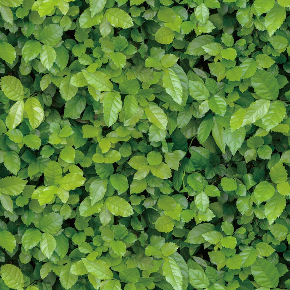 3D Natural Green Leaves Wallpaper Self Adhesive Peel Stick Vinyl Film Furniture Cabinets Wardrobe Shelf Liner Sticker Waterproof,17.7inch by 10.8ft