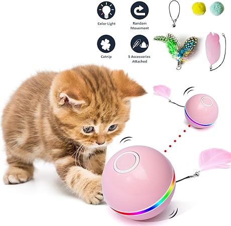smart cat toys