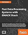 Fast Data Processing Systems with SMACK Stack