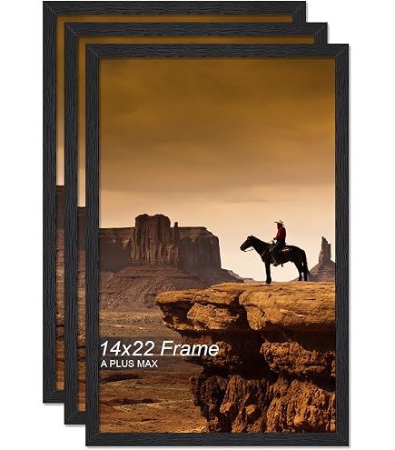 Amazon.com - MCS Studio Gallery 14x22 Poster Frame Gray Woodgrain
